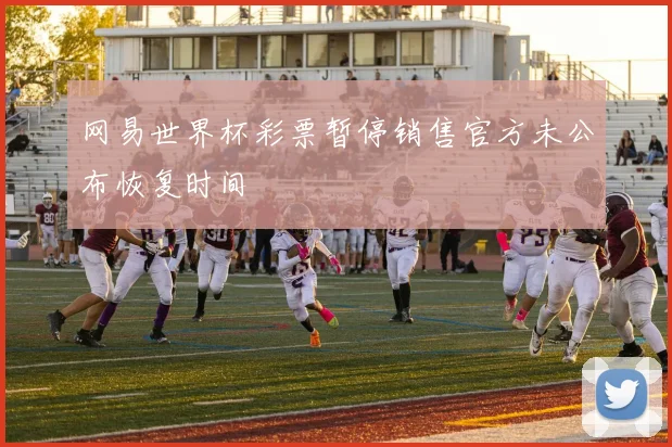 网易世界杯彩票暂停销售官方未公布恢复时间