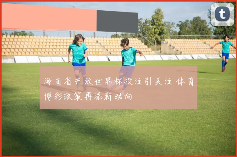 海南省开放世界杯投注引关注 体育博彩政策再添新动向